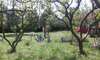 Апартаменты Family apartment Garden and Sea Петровац-3