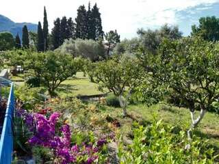 Апартаменты Family apartment Garden and Sea Петровац Апартаменты с 1 спальней-34