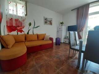 Апартаменты Family apartment Garden and Sea Петровац Апартаменты с 1 спальней-48