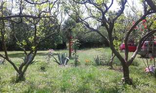 Апартаменты Family apartment Garden and Sea Петровац Апартаменты с 1 спальней-70