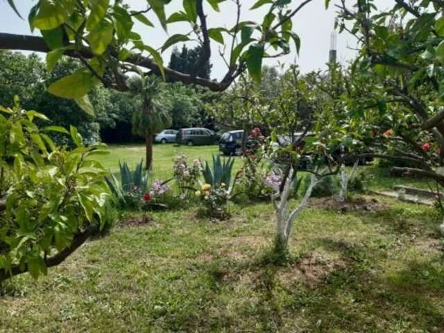 Апартаменты Family apartment Garden and Sea Петровац-73